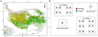 Dominant Plant Functional Group Determine the Response of the Temporal Stability of Plant Community Biomass to 9-Year Warming on the Qinghai–Tibetan Plateau